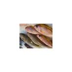 沖縄美ら 魚4kgセット