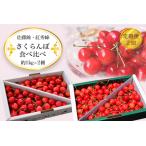 さくらんぼ約1kg×2種_H177 R8