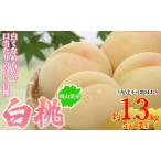ふるさと納税 桃 2026年先行予約 岡山県産 白桃 約1.3kg 5〜7玉 お届け 7月上旬〜7月下旬 岡山県高梁市