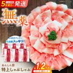 豚肉しゃぶしゃぶセット約1.2kg 藤井ファーム