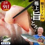 \年始発送 旅サラダ で紹介ぶりの王様 鰤王