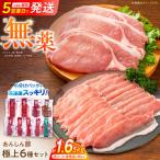 豚肉 極上セット 6種