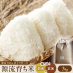 源流育ち お山のお米 3kg