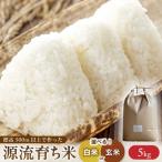 源流育ち米 5kg