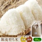 源流育ち米 10kg