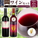 小坂七滝ワイナリー 小公子 ワイングランド2025