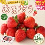 あまおう 約1140g