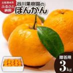 ぽんかん 3kg