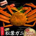 タグ付き ボイル 松葉ガニ 大800g