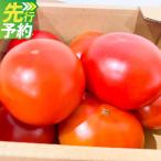 まるで太陽の恵みをそのまま閉じ込めたような真っ赤な