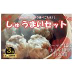 手作り点心の店 Syun358. しゅうまい20個