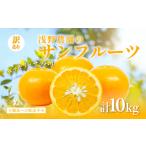 ふるさと納税 【先行予約】【訳あり】浅野農園のサンフルーツ 10kg ※離島への配送不可（2026年3月中旬頃より順次発送予定） IKTAC011 愛媛県伊方町