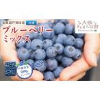 ブルーベリー 500g