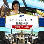 フライトシミュレーター操縦体験70分コース