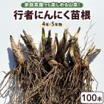 行者にんにく 苗根 100本