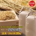 ふるさと納税 【先行予約】令和7年産 特Aランク米 ななつぼし 玄米 20kg(10kg×2袋)雪冷気 籾貯蔵 北海道 雪中米 北海道沼田町