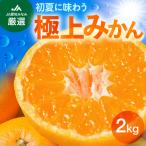 伊良湖 温室みかん 2kg