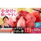 訳あり 対馬産 本マグロ 切り落とし 490g