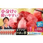 訳あり 対馬産 本マグロ 切り落とし 490g