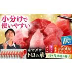 訳あり 対馬産 本マグロ 切り落とし 560g