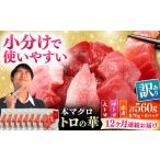 訳あり 対馬産 本マグロ 切り落とし 560g