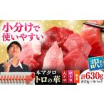 訳あり 対馬産 本マグロ 切り落とし 630g