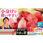 訳あり 対馬産 本マグロ 切り落とし 630g