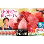 訳あり 対馬産 本マグロ 切り落とし 630g