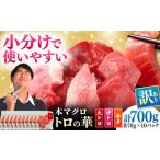 訳あり 対馬産 本マグロ 切り落とし 700g