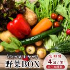 季節の野菜 詰め合せ セット 6~8種類 年4回