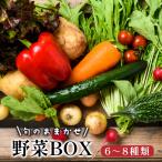 舞鶴 季節の野菜BOX 詰め合せ セット 6~8種類