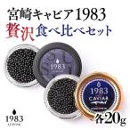 MIYAZAKI CAVIAR 1983