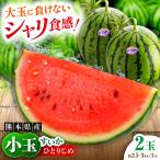 小玉すいか 2玉入