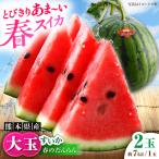 大玉すいか 2玉入