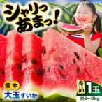 fu.... налог . мир 8 год Kumamoto земля ... поддержка предшествующий предварительный заказ 2027 год 5 месяц последняя декада .. отправка большой шар арбуз превосходящий товар 1 шар примерно 6~9kg ограниченное количество арбуз ...AYAT006 Kumamoto префектура .. город 