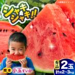 fu.... налог . мир 8 год Kumamoto земля ... поддержка предшествующий предварительный заказ 2027 год 5 месяц последняя декада .. отправка маленький шар арбуз превосходящий товар 2 шар итого примерно 2kg~3kg ограниченное количество арбуз ...AYAT008 Kumamoto префектура .. город 