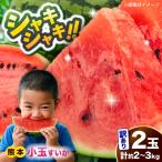 fu.... налог . мир 8 год Kumamoto земля ... поддержка предшествующий предварительный заказ 2027 год 5 месяц последняя декада .. отправка есть перевод маленький шар ...2 шар итого примерно 2kg~3kg ограниченное количество арбуз ...AYAT009 Kumamoto префектура .. город 