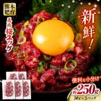令和8年熊本地震復興支援 馬肉 さくらユッケ 50g×5パック