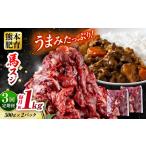 ふるさと納税 【全3回定期便】 馬スジ 計3kg 1回あたり1kg（500g×2パック） / 馬肉 スジ 筋 煮込み 冷凍[AYBV031] 熊本県合志市