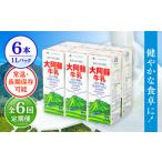 ふるさと納税 【全6回定期便】 大阿蘇牛乳 1000ml （6本入り） 熊本県産 国産 牛乳 [AYCB022] 熊本県合志市