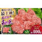 ふるさと納税 【全3回定期便】熊本県産 A5等級 黒毛和牛 和王 ウデ・モモ 焼肉用 約400g 計約1.2kg 焼肉[AYCH030] 熊本県合志市