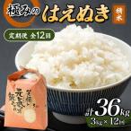 定期便 全12回 極みのはえぬき 精米 3kg