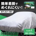 車 ボディカバーB01タイプ クラス1 BLAF010