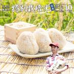 令和8年度産 新米 予約受付 棚田米 10kg