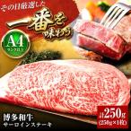 博多和牛 サーロインステーキ 1枚