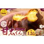 171-1134x1 高糖度さつまいも