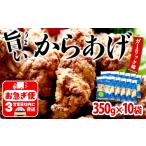 B2-2139 から揚げ ガーリック味 10袋