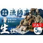ふるさと納税 【先行予約】訳あり 殻付き 生牡蠣 5kg 加熱用 軍手・牡蠣ナイフ付 牡蠣 カキ かき 生 殻付牡蠣 フライ 鍋 バーベキュー BBQ 海鮮 .. 愛知県田原市