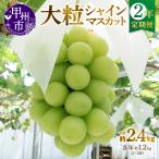 産厳選大粒シャインマスカット約1.2kg