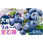 fu.... налог [2026 год предшествующий предварительный заказ ] голубика крупный итого 400g (100g×4 упаковка ) крупный голубика. драгоценнный камень коробка зонт .. синий пустой ферма {2026 год 6 месяц сверху.. Okayama префектура . холм город 